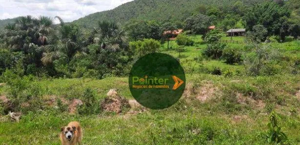 Fazenda / Sítio / Chácara à venda, 2710400m² no , Padre Bernardo