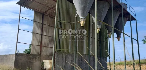 Fazenda / Sítio / Chácara com 4 Quartos à venda, 2650000m² no Alto José Leal, Vitória de Santo Antão