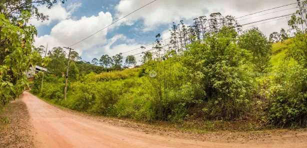 Terreno / Lote / Condomínio à venda, 2181m² no Prado Rangel, Embu das Artes