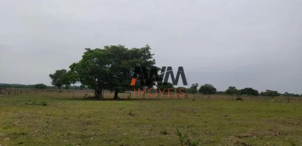 Fazenda / Sítio / Chácara à venda, 6872800m² no Centro, Cristalândia
