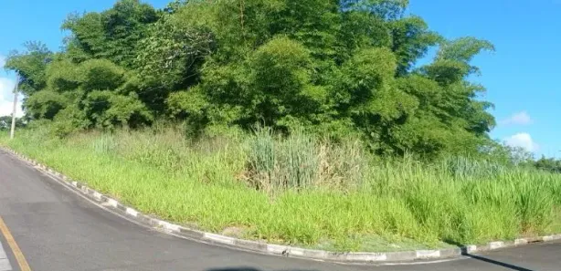 Terreno / Lote / Condomínio à venda, 805m² no Santa Rosa, Simões Filho