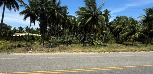 Terreno / Lote Comercial à venda, 54000m² no Olhos d'Água, Barra dos Coqueiros