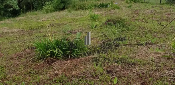 Terreno / Lote / Condomínio à venda, 2769m² no Centro, Piedade