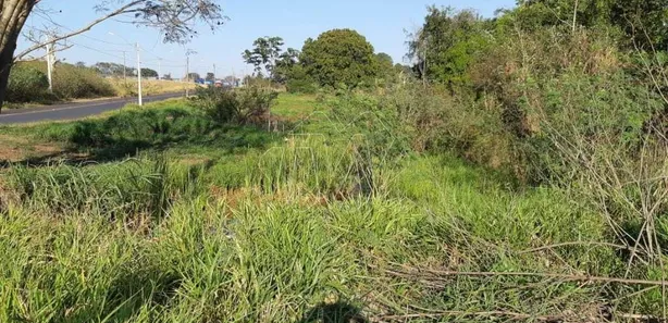 Fazenda / Sítio / Chácara à venda, 18150m² no Vila Xavier (Vila Xavier), Araraquara