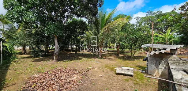 Fazenda / Sítio / Chácara com 5 Quartos à venda, 350m² no Santana, Gravatá
