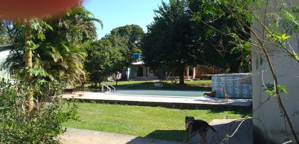 Fazenda / Sítio / Chácara com 5 Quartos à venda, 300m² no Citrolândia, Guapimirim