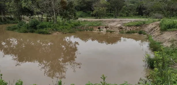 Fazenda / Sítio / Chácara à venda, 20000m² no , Fortuna de Minas