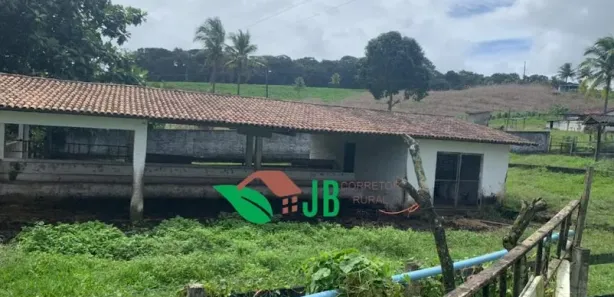 Fazenda / Sítio / Chácara com 3 Quartos à venda, 250m² no Povoado, Alhandra