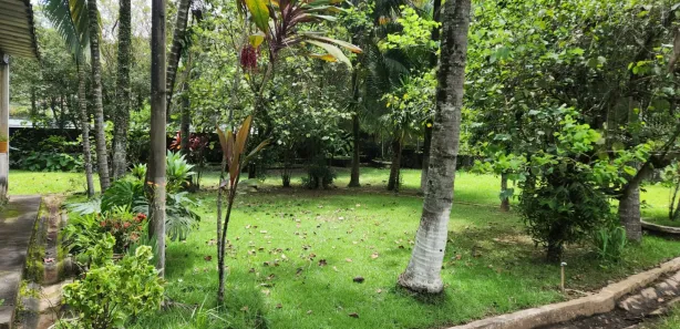 Fazenda / Sítio / Chácara com 2 Quartos à venda, 10000m² no São Judas Tadeu, Barra Mansa