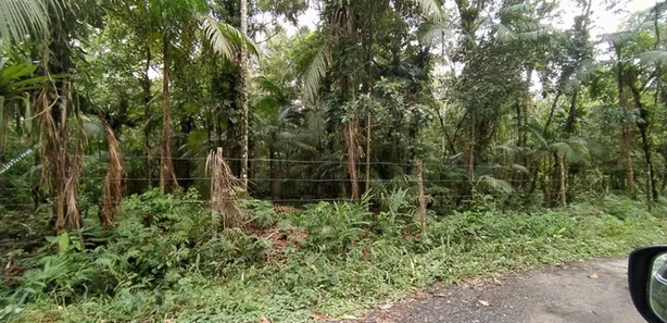 Terreno / Lote / Condomínio à venda, 5000m² no Jardim Ouro Fino, Paranaguá