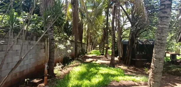 Fazenda / Sítio / Chácara com 4 Quartos à venda, 236m² no Alvorada do Sul, Alvorada do Sul