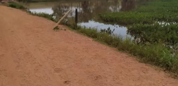 Fazenda / Sítio / Chácara à venda, 4646400m² no Centro, Caldas Novas