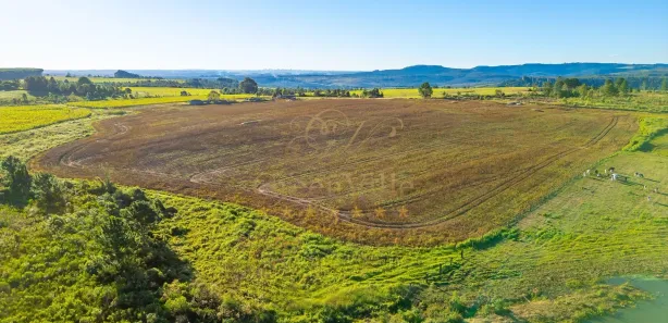 Fazenda / Sítio / Chácara com 1 Quarto à venda, 456017m² no Centro, Ponta Grossa