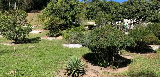 Fazenda / Sítio / Chácara com 3 Quartos à venda, 240000m² no Centro, Bom Jesus dos Perdões