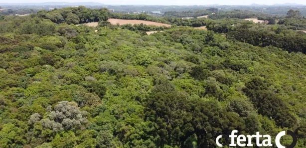 Fazenda / Sítio / Chácara à venda, 23475m² no Porto das Laranjeiras, Araucária