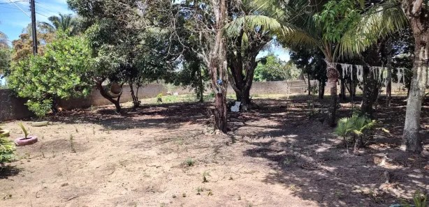 Fazenda / Sítio / Chácara com 3 Quartos à venda, 7000m² no , Satuba