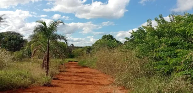 Terreno / Lote / Condomínio à venda, 20000m² no Park Way, Brasília