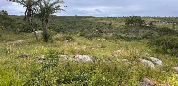 Fazenda / Sítio / Chácara à venda, 7200m² no , Sairé