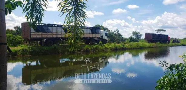 Fazenda / Sítio / Chácara à venda, 13380000m² no Área Rural de Gurupi, Gurupi