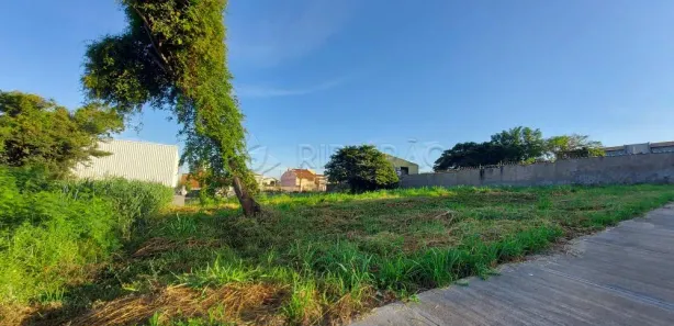 Terreno / Lote / Condomínio para alugar, 370m² no Alto da Boa Vista, Ribeirão Preto