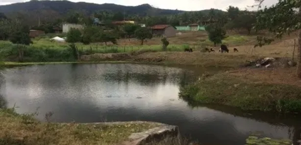 Fazenda / Sítio / Chácara com 4 Quartos à venda, 210m² no , Agrestina