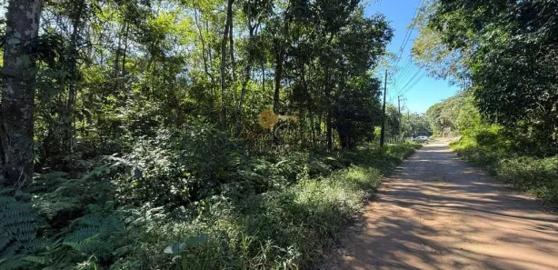 Fazenda / Sítio / Chácara à venda, 124000m² no Parque Nossa Senhora da Ajuda, Guapimirim
