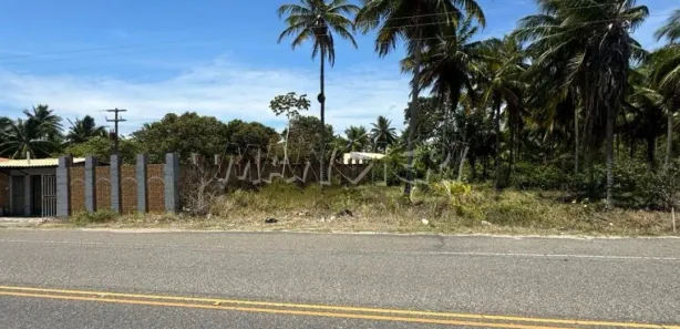 Terreno / Lote Comercial à venda, 54000m² no Olhos d'Água, Barra dos Coqueiros