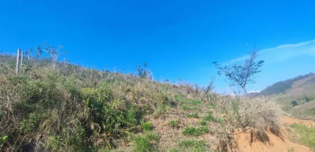 Terreno / Lote / Condomínio à venda, 3624m² no Areal, Areal