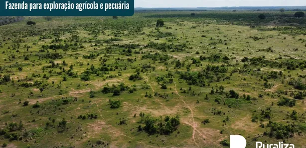 Fazenda / Sítio / Chácara à venda, 474m² no , Cristalândia