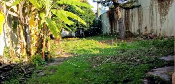 Terreno / Lote / Condomínio para venda ou aluguel, 700m² no Campo Belo, São Paulo