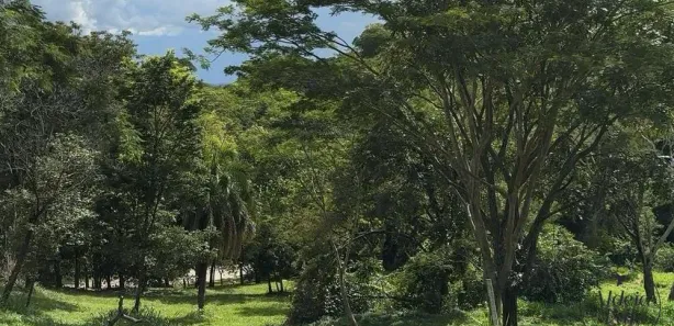 Terreno / Lote / Condomínio com 1 Quarto à venda, 2914m² no Residencial Aldeia do Vale, Goiânia