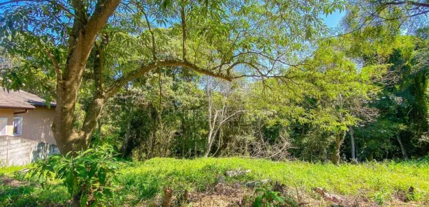 Terreno / Lote / Condomínio à venda, 452m² no Jardim Europa, Vargem Grande Paulista