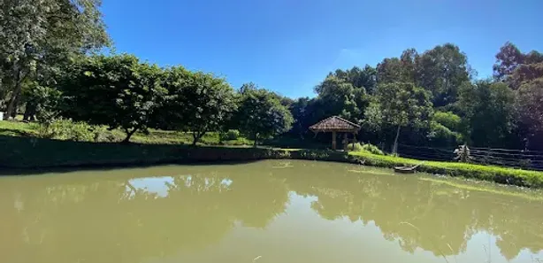 Fazenda / Sítio / Chácara com 2 Quartos à venda, 12000m² no Área Rural de Cascavel, Cascavel