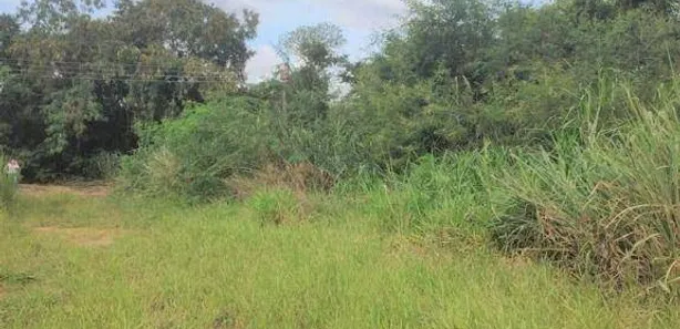Fazenda / Sítio / Chácara à venda, 2113m² no Pau D'Alhinho, Piracicaba