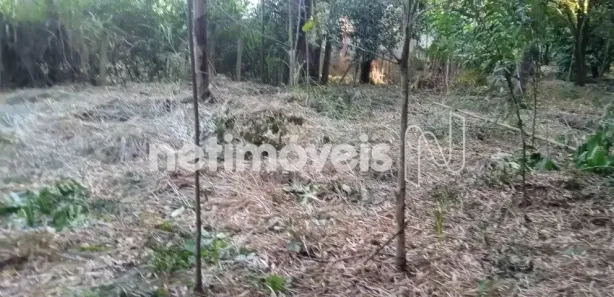Fazenda / Sítio / Chácara à venda, 4800m² no Nossa Senhora da Paz II, São Joaquim de Bicas