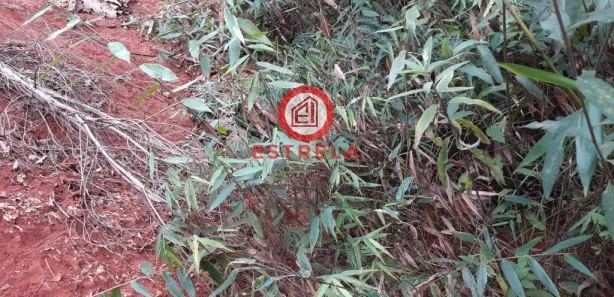 Terreno / Lote / Condomínio à venda, 1510m² no , Santa Branca