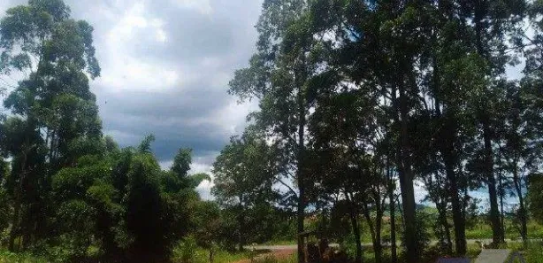 Fazenda / Sítio / Chácara à venda, 10000m² no Loteamento Jardim Real, Guaraniaçu