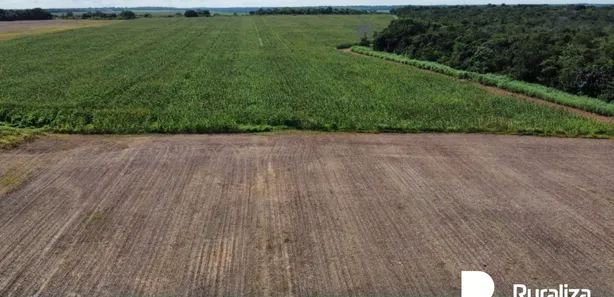Fazenda / Sítio / Chácara à venda, 387m² no , Cristalândia