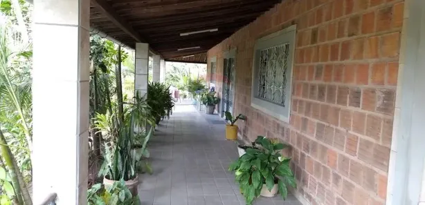 Fazenda / Sítio / Chácara com 3 Quartos à venda, 285m² no Coqueiro Seco, Coqueiro Seco