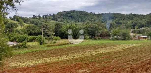 Fazenda / Sítio / Chácara com 3 Quartos à venda, 200m² no Ciriaco, Piedade
