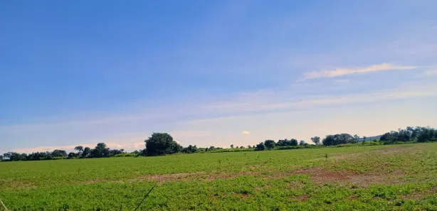 Fazenda / Sítio / Chácara com 3 Quartos à venda, 1920000m² no Planaltina, Brasília