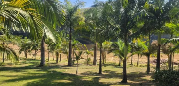Fazenda / Sítio / Chácara à venda, 50000m² no , Piedade