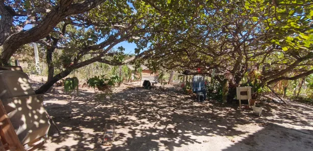 Fazenda / Sítio / Chácara com 2 Quartos à venda, 20000m² no , Brasília