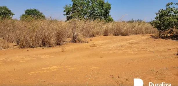 Fazenda / Sítio / Chácara à venda, 600m² no , Paraíso do Tocantins