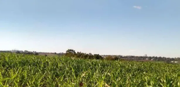 Fazenda / Sítio / Chácara à venda, 66550m² no Assis Chateaubriand, Assis Chateaubriand