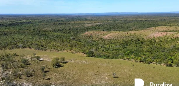 Fazenda / Sítio / Chácara à venda, 4453m² no , Ponte Alta do Tocantins
