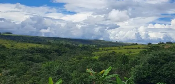 Fazenda / Sítio / Chácara com 3 Quartos à venda, 11000m² no Área Rural de Santo Antônio do Descoberto, Santo Antônio do Descoberto