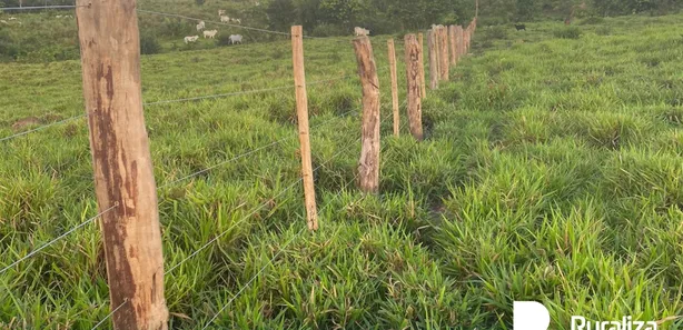 Fazenda / Sítio / Chácara à venda, 359m² no , Santa Maria do Tocantins