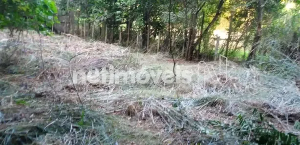 Fazenda / Sítio / Chácara à venda, 4800m² no Nossa Senhora da Paz II, São Joaquim de Bicas