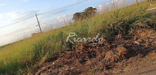 Terreno / Lote / Condomínio à venda, 292m² no Jardim Califórnia, Sabáudia